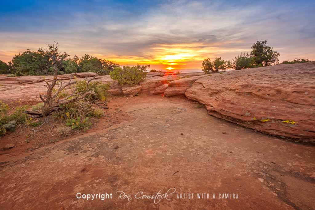 Standard Size Prints: Canyon de Chelly