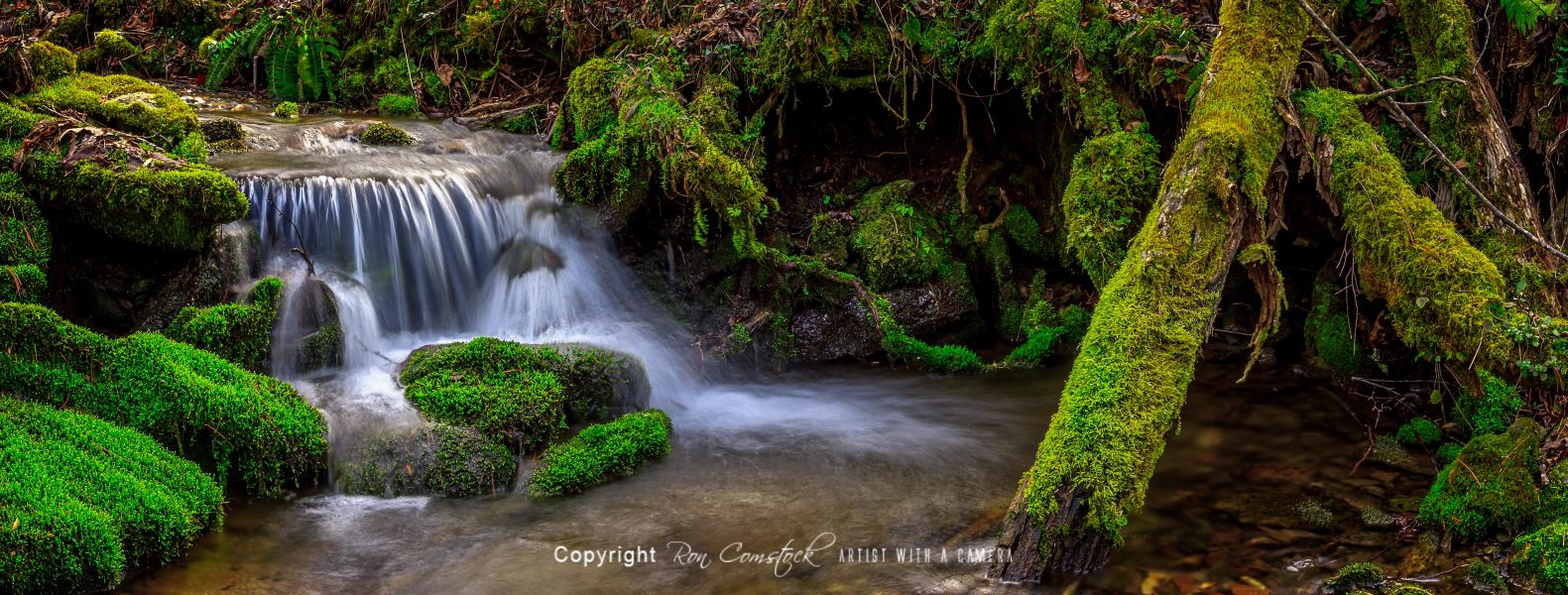 Panorama Prints: Pretty Places