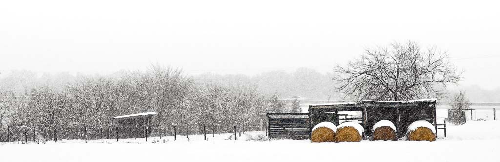 Panorama Prints: Winter