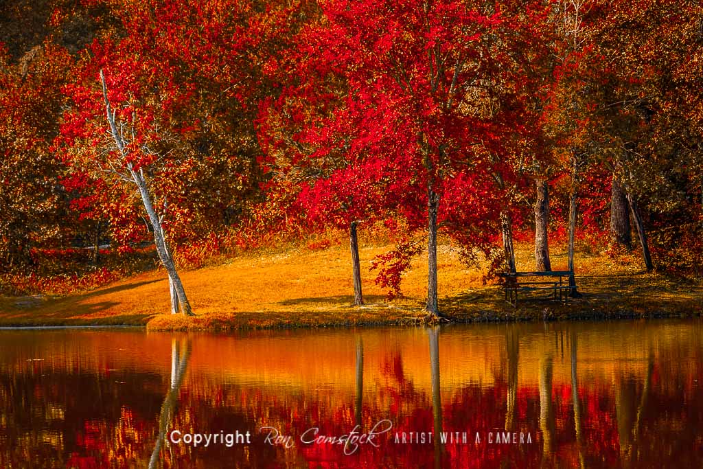 Standard Size Prints: Fall