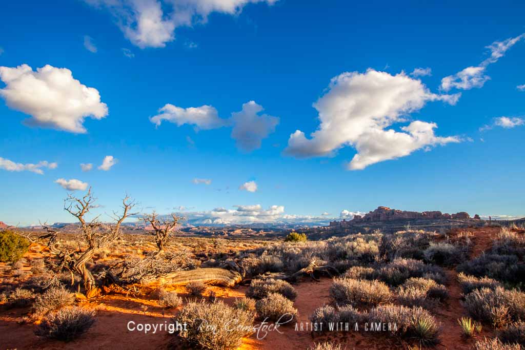 Standard Size Prints: Moab
